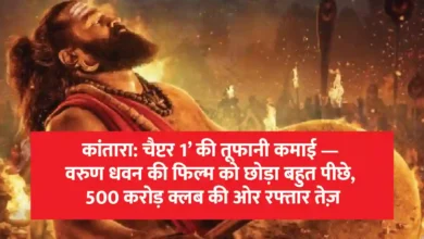 Kantara Chapter 1 Box Office