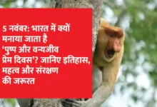 Hari Cinta Puspa dan Satwa Nasional