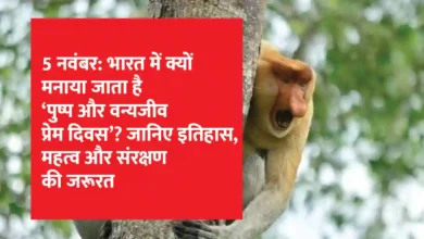 Hari Cinta Puspa dan Satwa Nasional