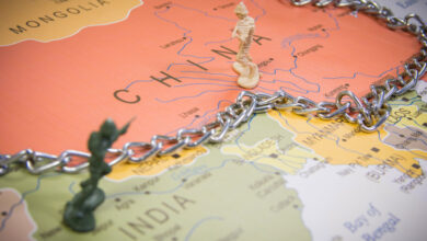 India China WTO dispute