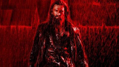 Dhurandhar: The Revenge Box Office Collection