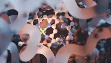 Metformin Brain Effect