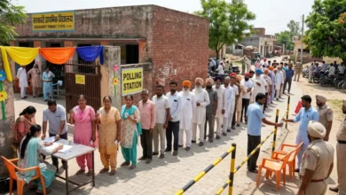 Punjab Civic Body Poll Results