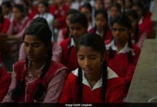 HBSE 12th Result 2026 Declared