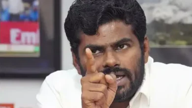 K Annamalai New Party