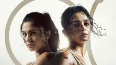 Alpha Box Office Collection