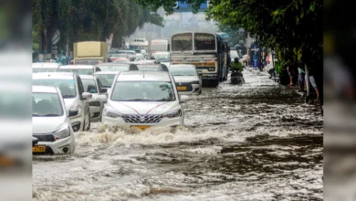 Delhi NCR UP Monsoon Update