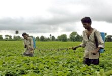 Monsoon Alert IMD Forecast on Rainfall