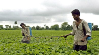 Monsoon Alert IMD Forecast on Rainfall