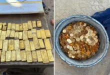 Belgium Gold Treasure