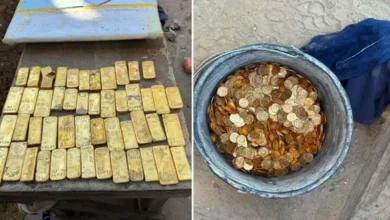 Belgium Gold Treasure