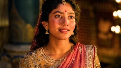 Sai Pallavi Ramayana Sita Controversy