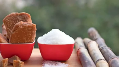 Sugar Price in India