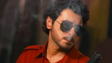 Mirzapur The Movie